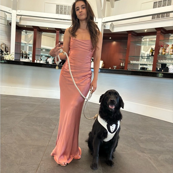 Shona Joy La Lune Lace Back Maxi Dress - Antique Rose size USA4 *altered shorter - Picture 3 of 3